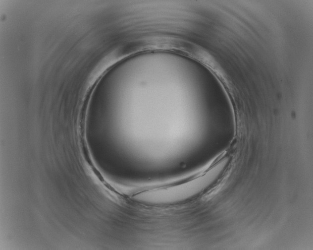 X0000070420803200606231851