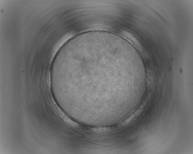 X0000070420804200606231851