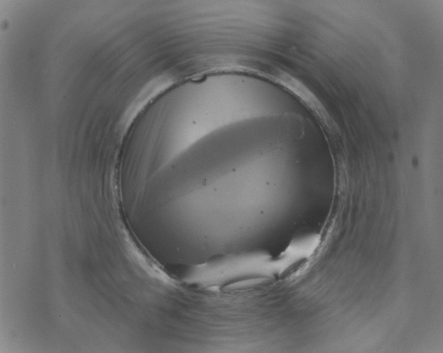 X0000070420806200606231851