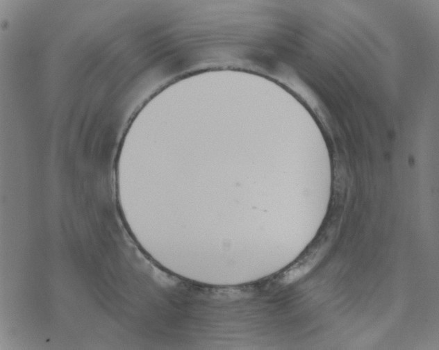 X0000070420807200606231851