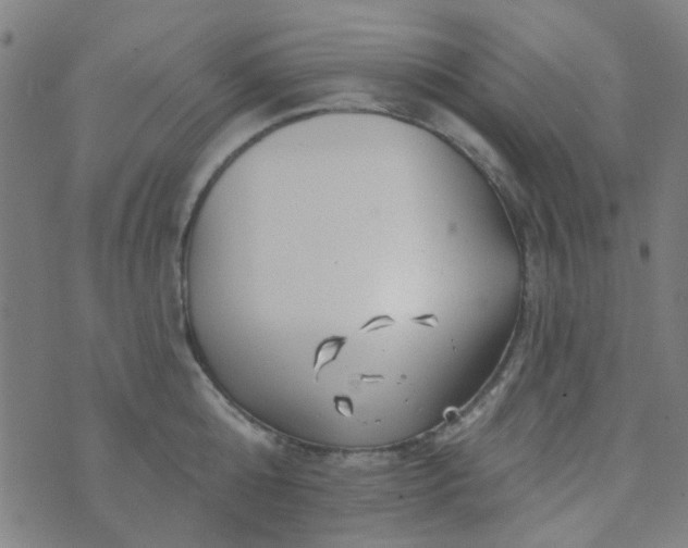 X0000070420808200606231851