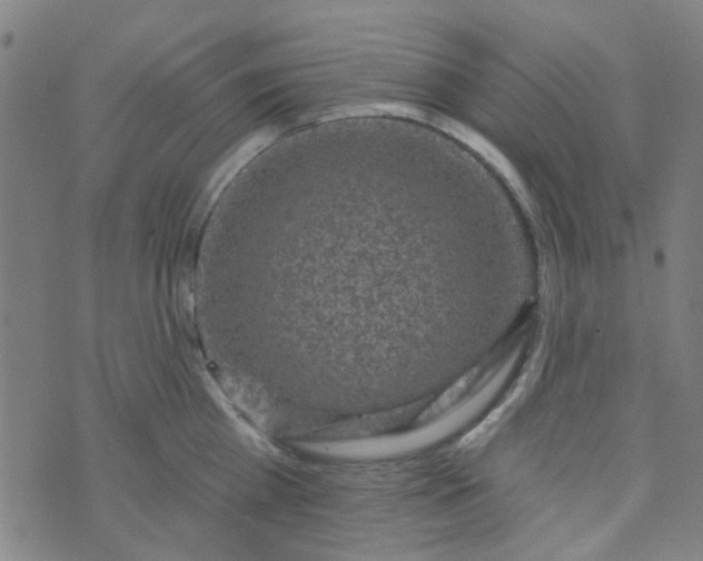 X0000070420809200606231851