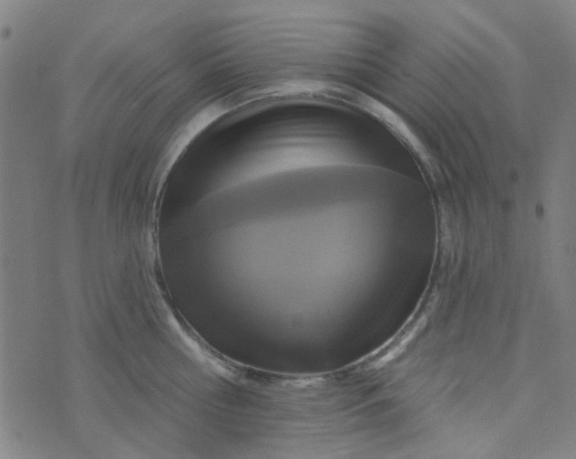 X0000070420810200606231851