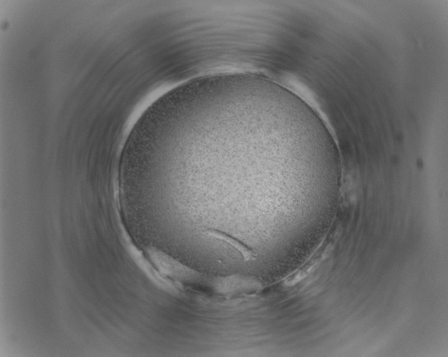 X0000070420811200606231851