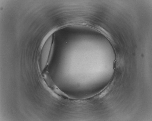 X0000070420812200606231851