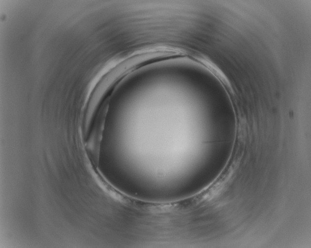 X0000070420813200606231851