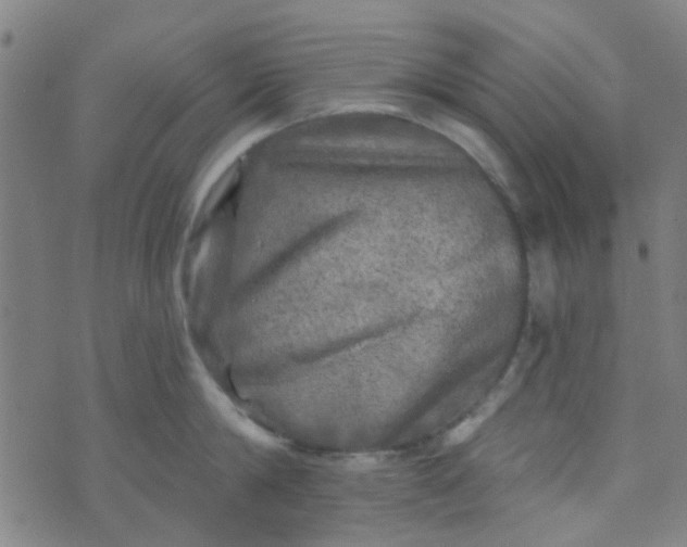 X0000070420814200606231851