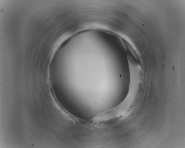 X0000070420815200606231851