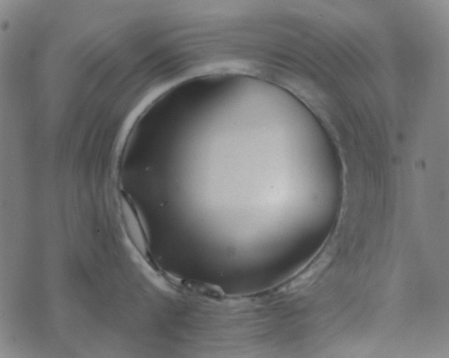 X0000070420816200606231851