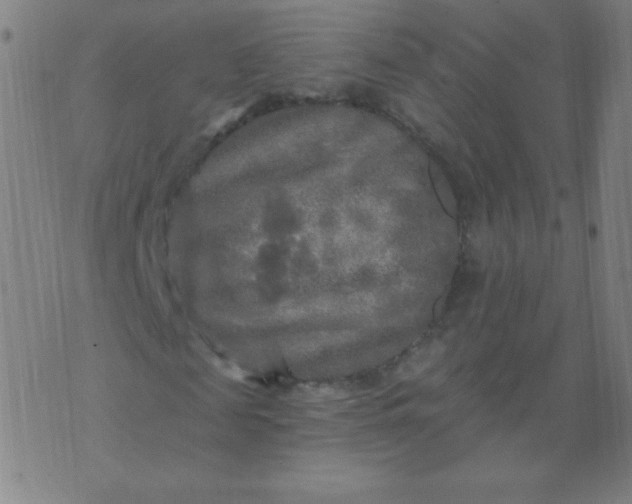 X0000070420817200606231850