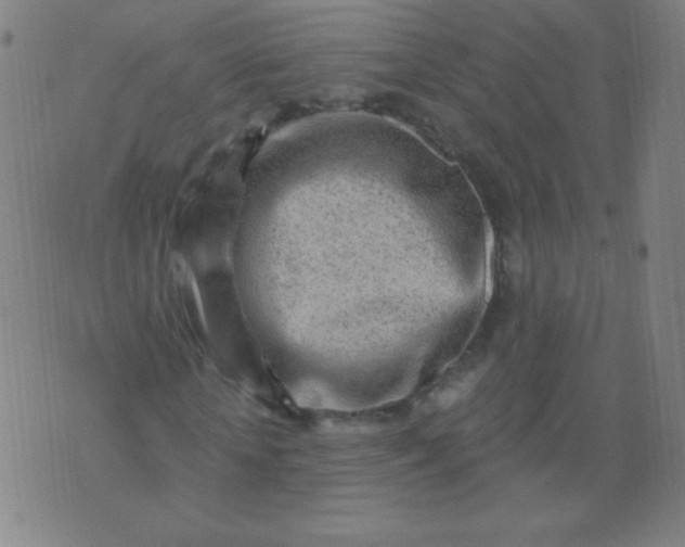 X0000070420818200606231850