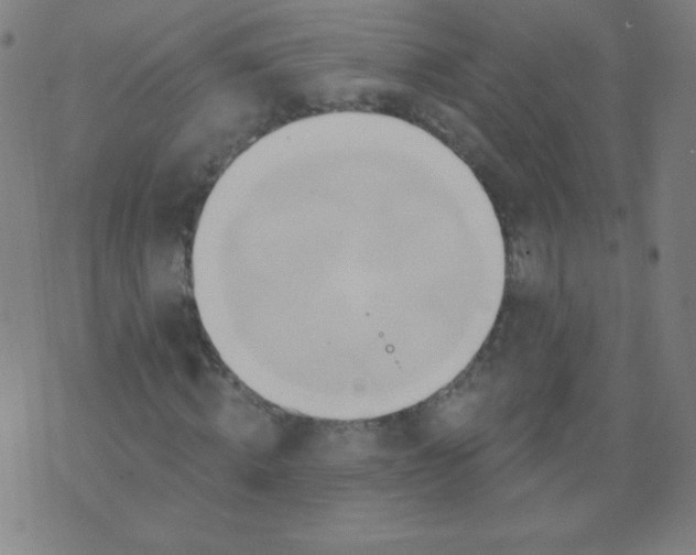 X0000070420820200606231851