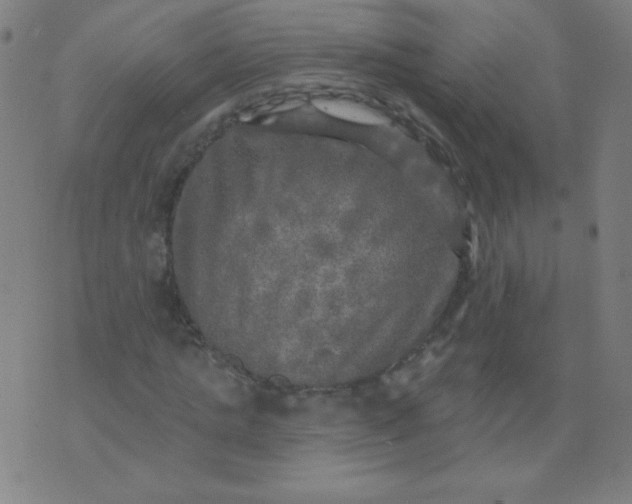 X0000070420821200606231851