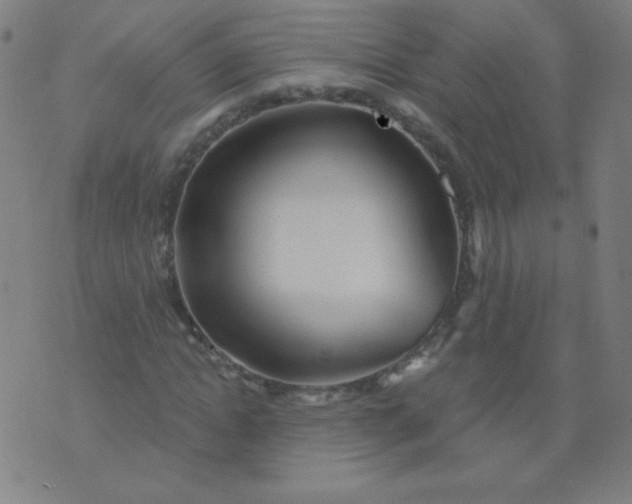 X0000070420822200606231851