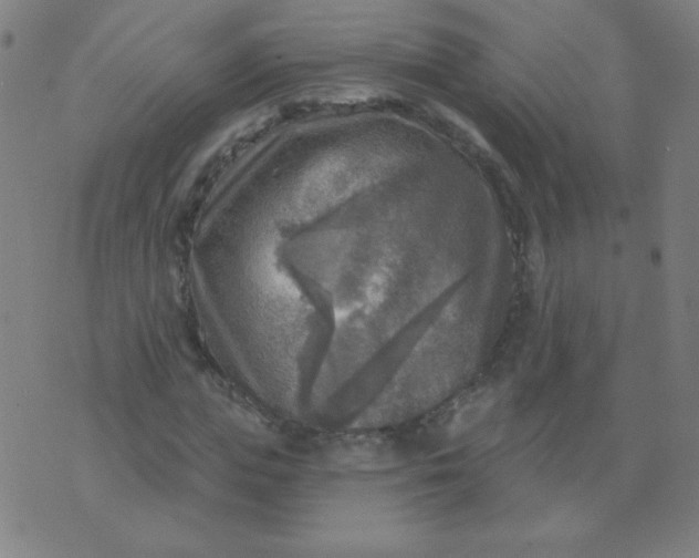 X0000070420823200606231851