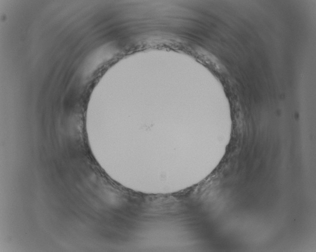 X0000070420824200606231851