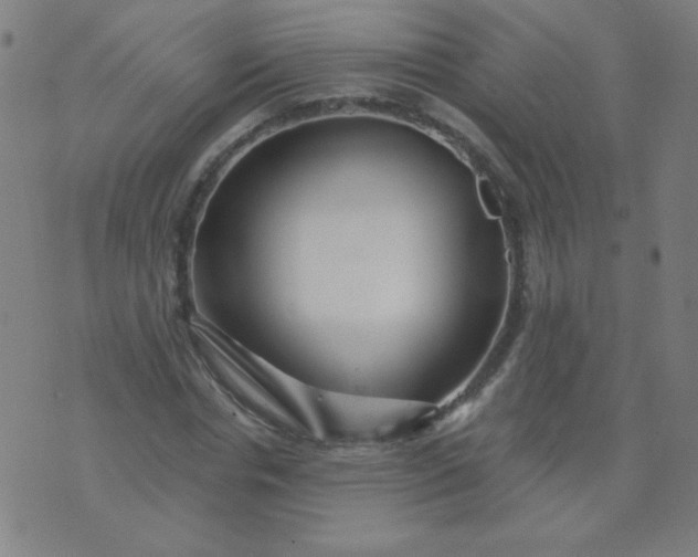 X0000070420826200606231851