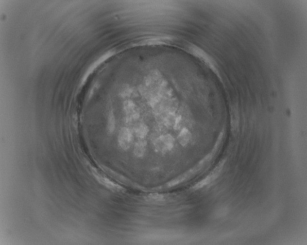 X0000070420827200606231851