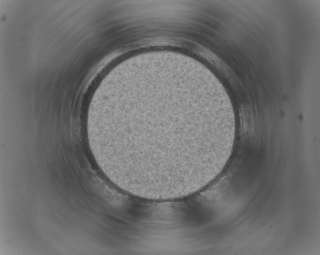 X0000070420828200606231851