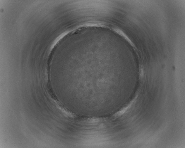 X0000070420829200606231851