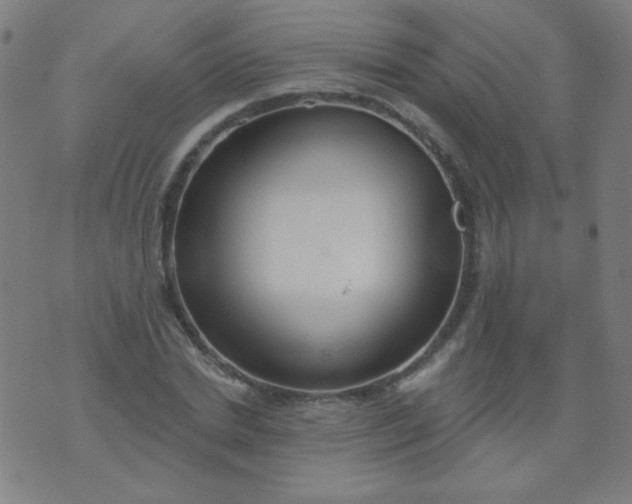 X0000070420830200606231851