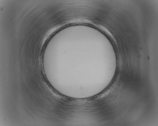 X0000070420831200606231851