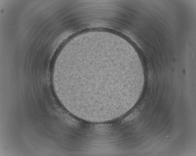 X0000070420832200606231851