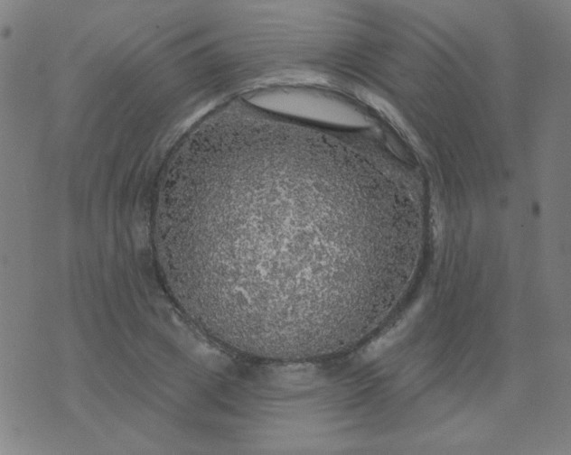 X0000070420833200606231851