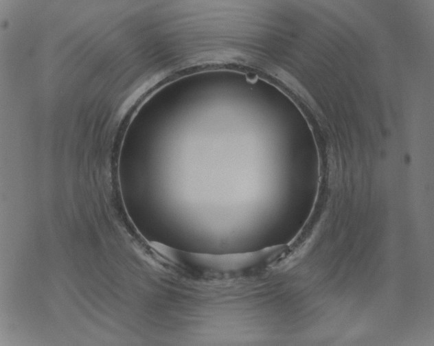 X0000070420834200606231851