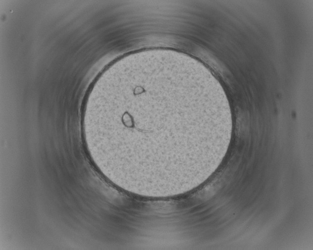 X0000070420836200606231851