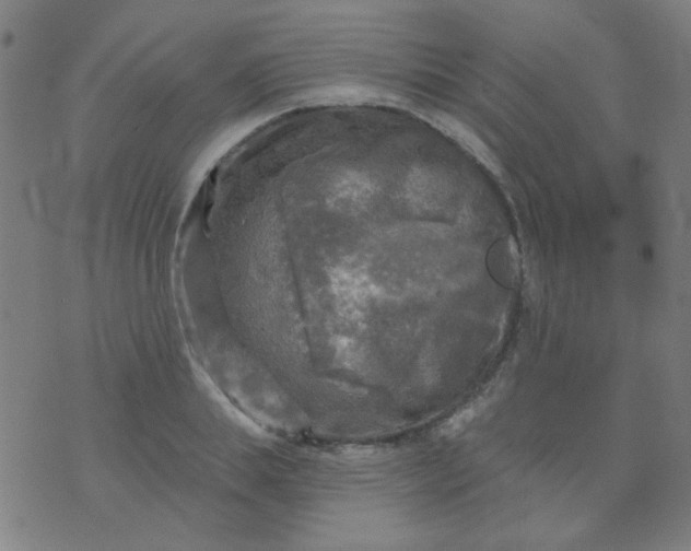 X0000070420839200606231851