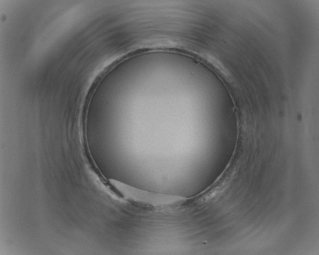 X0000070420840200606231851