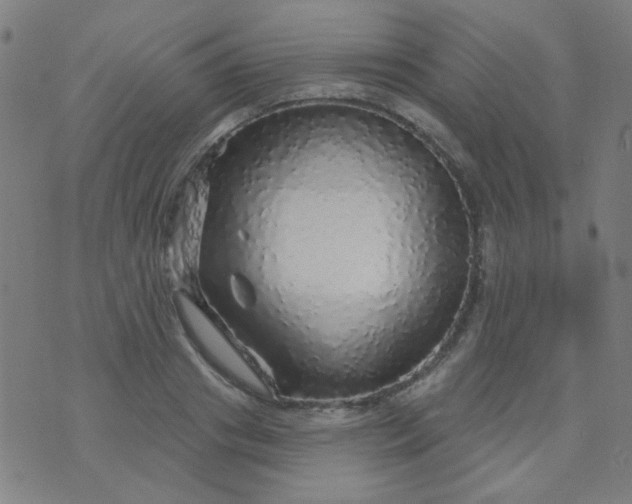 X0000070420841200606231851