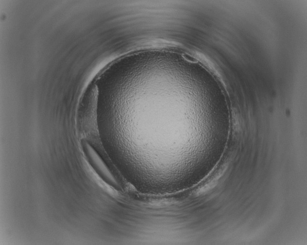 X0000070420843200606231851