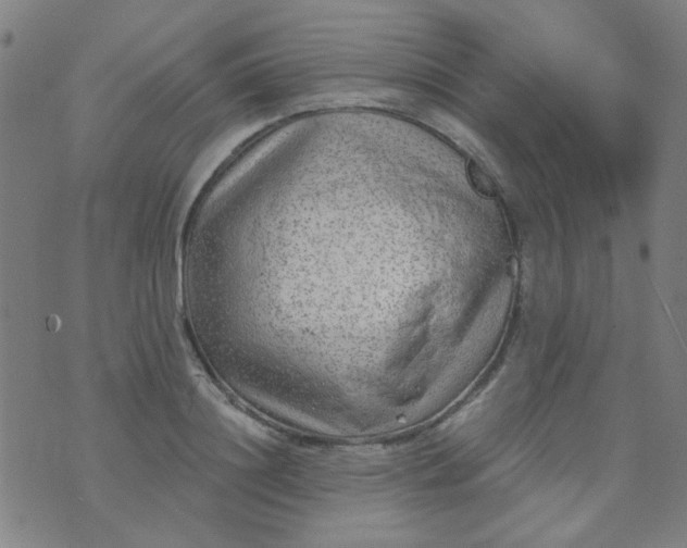 X0000070420844200606231851