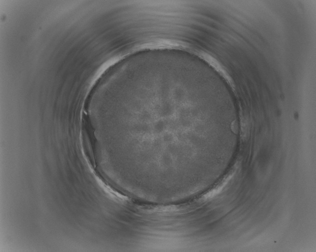 X0000070420845200606231851