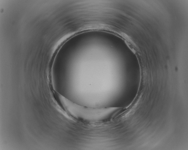 X0000070420846200606231851