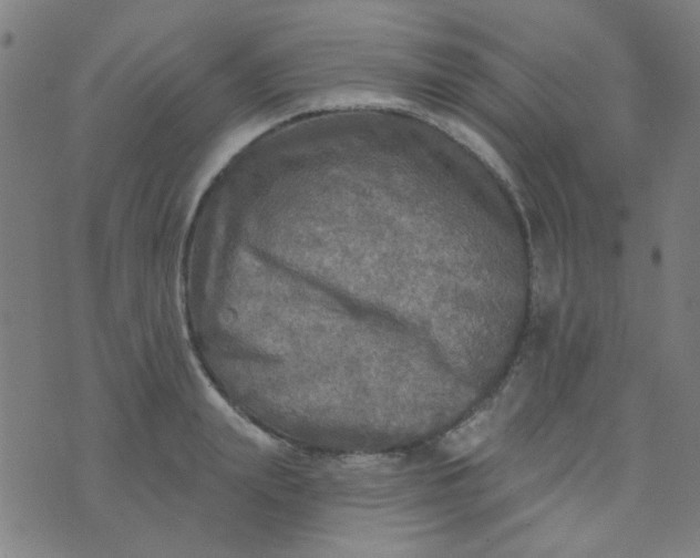 X0000070420847200606231851