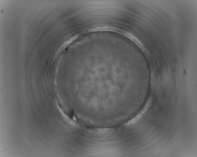 X0000070420849200606231851