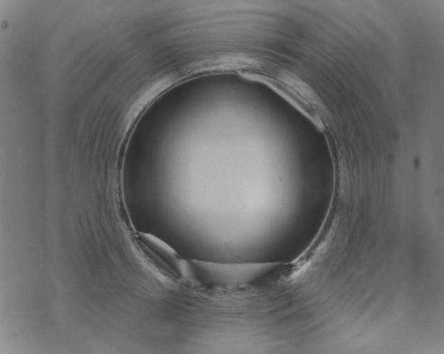 X0000070420850200606231851