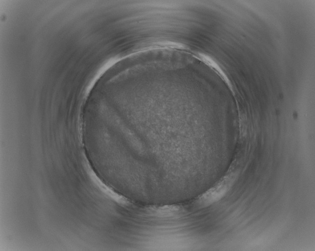 X0000070420851200606231851