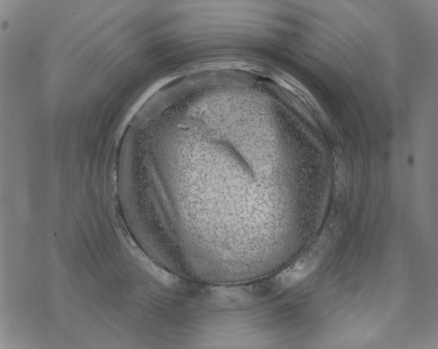 X0000070420852200606231851