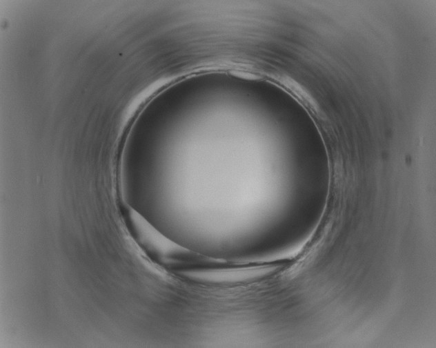 X0000070420854200606231851