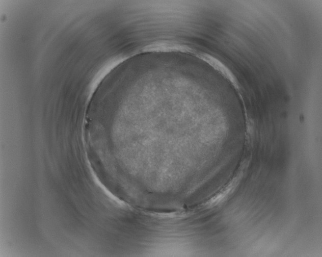 X0000070420855200606231851