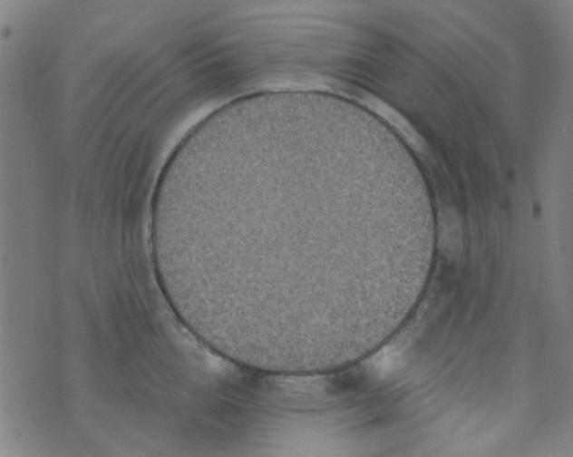 X0000070420856200606231851