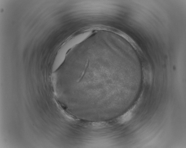 X0000070420857200606231851