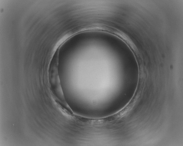 X0000070420858200606231851