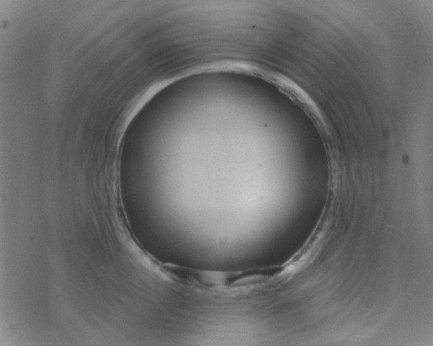 X0000070420860200606231851