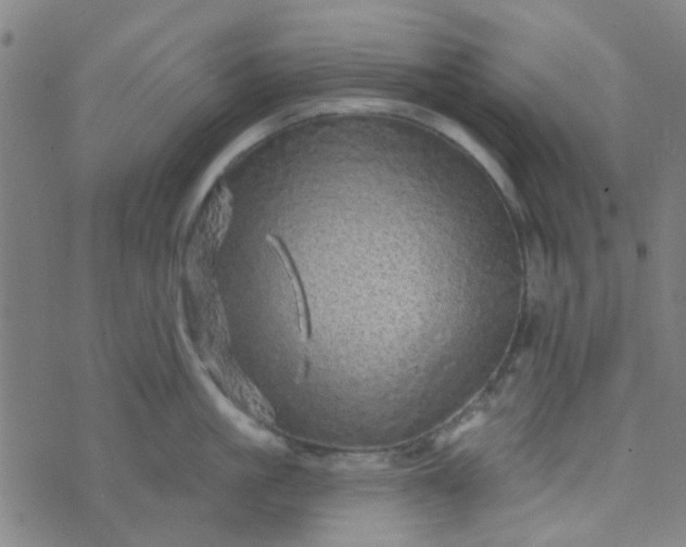 X0000070420861200606231851