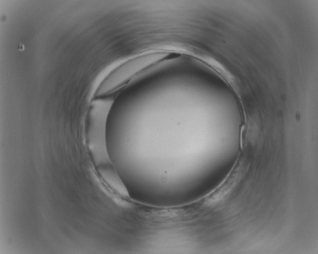 X0000070420862200606231851